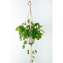 Load image into Gallery viewer, Unfinished Wood Rings