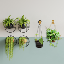 Load image into Gallery viewer, Wood Wall Hooks