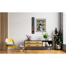 Load image into Gallery viewer, Baseball Bat Display Case